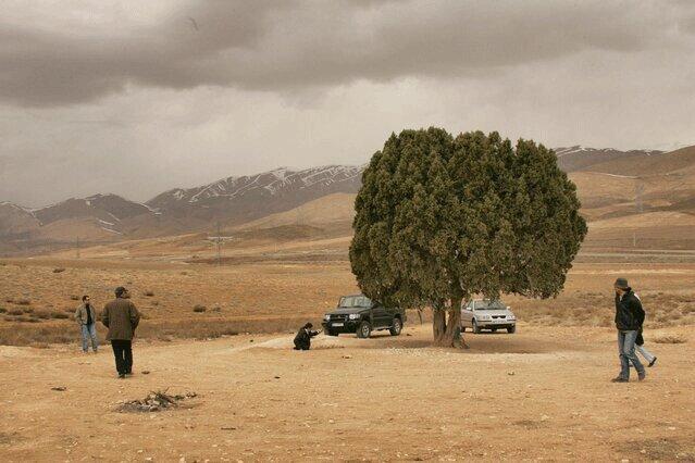 اما و اگرهای نصب مجسمه یک کارگردان ، تک درخت معروف کیارستمی اما و اگرهای نصب مجسمه یک کارگردان ، تک درخت معروف کیارستمی کجاست؟