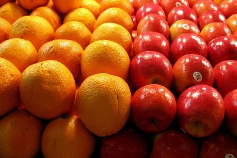 خبرنگاران توزیع میوه نوروزی در چهارمحال و بختیاری آغاز شد