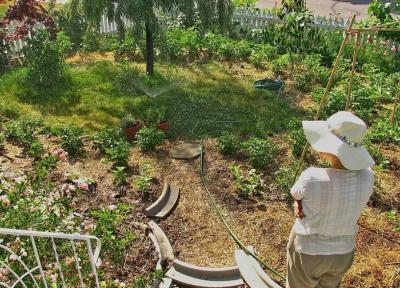 خلاقیت در باغبانی و ایجاد فضایی متفاوت در حیاط و محوطه سازی