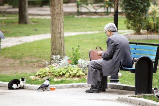 بیمه تکمیلی درمان بازنشستگان کشوری تمدید شد بیمه تکمیلی درمان بازنشستگان کشوری تمدید شد