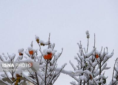 کاهش 5 تا 10 درجه ای دمای گیلان، در ارتفاعات برف می بارد